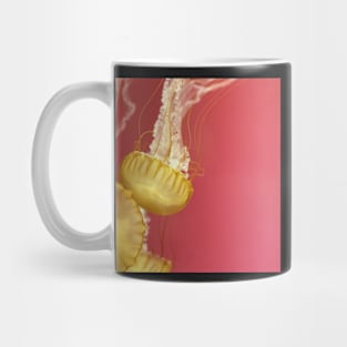 Jelly #4 Mug